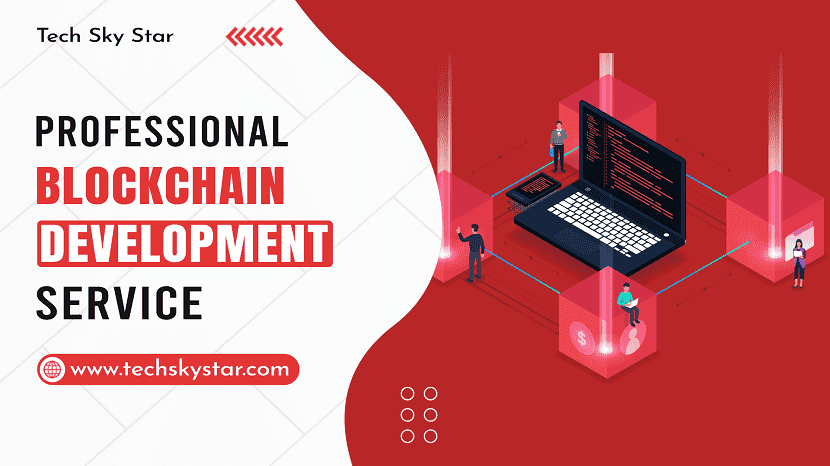 Professional Blockchain Development Service