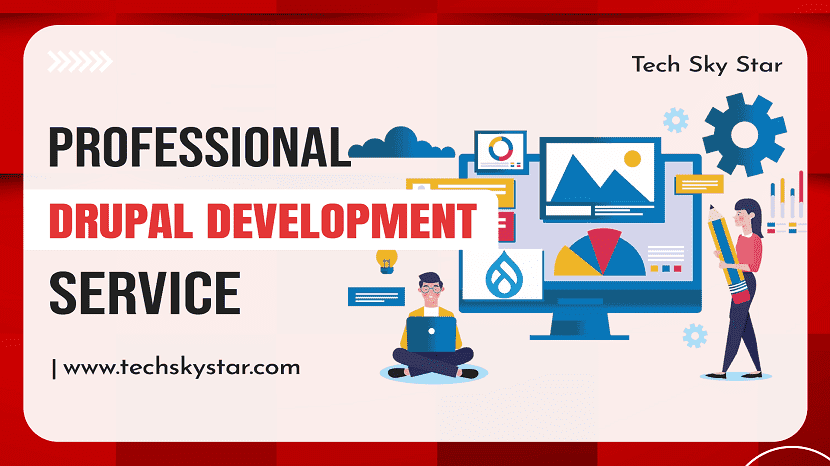 Professional Drupal Development Service