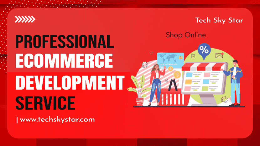 Professional Ecommerce Development Service