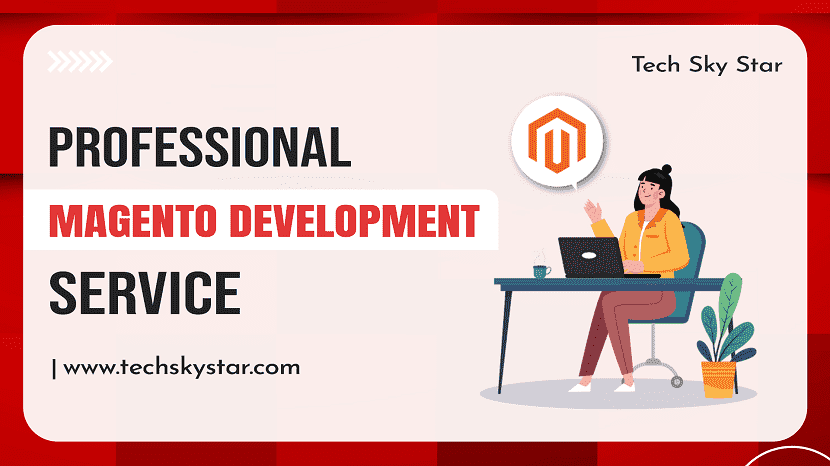 Professional Magento Development Service