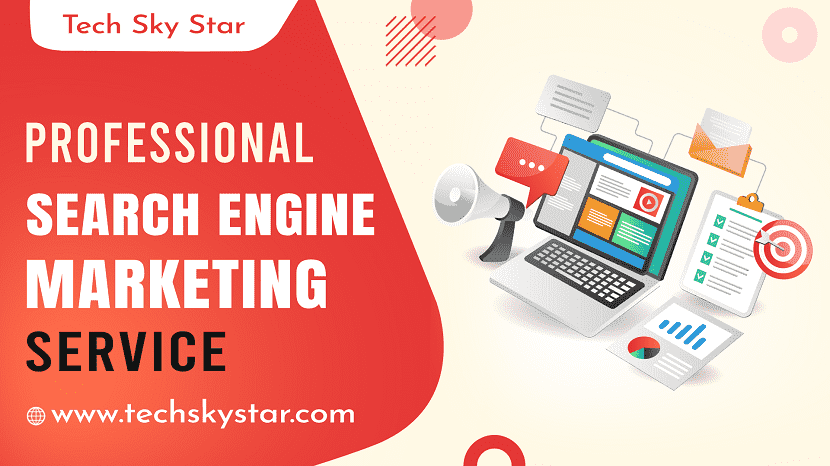 Professional Search Engine Marketing Service