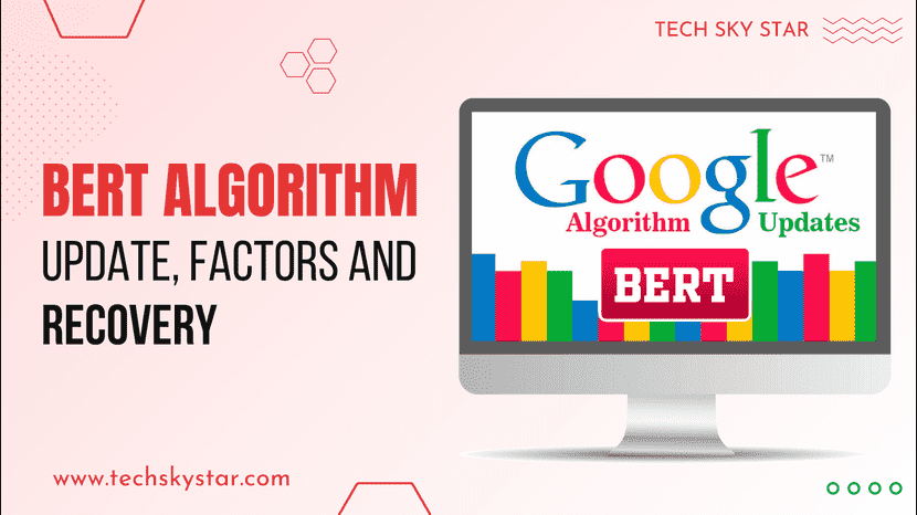 BERT Algorithm Update, Factors and Recovery